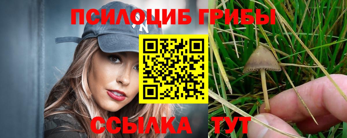 Псилоцибиновые грибы Psilocybe  Вход с VPN  Рязань 